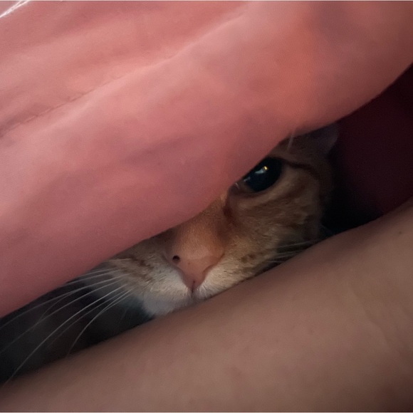 Meet your Posher, Jess - Picture 9 of 16